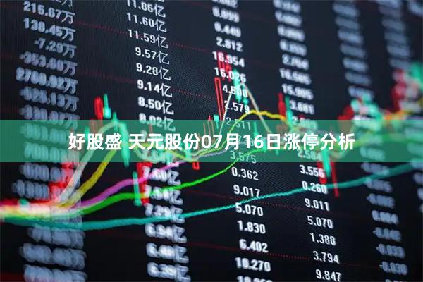 好股盛 天元股份07月16日涨停分析