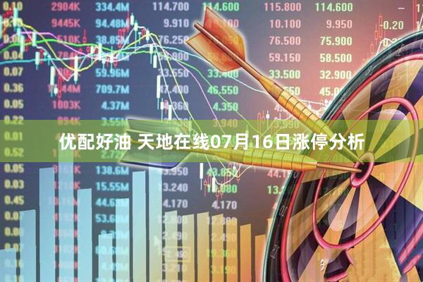 优配好油 天地在线07月16日涨停分析