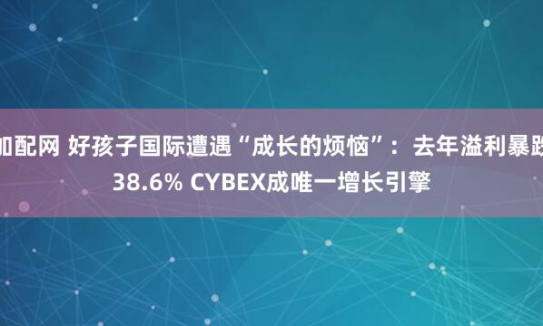 加配网 好孩子国际遭遇“成长的烦恼”：去年溢利暴跌38.6% CYBEX成唯一增长引擎