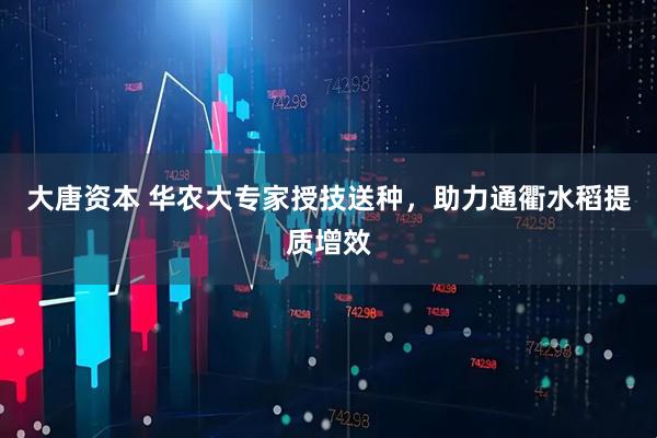 大唐资本 华农大专家授技送种,助力通衢水稻提质增效
