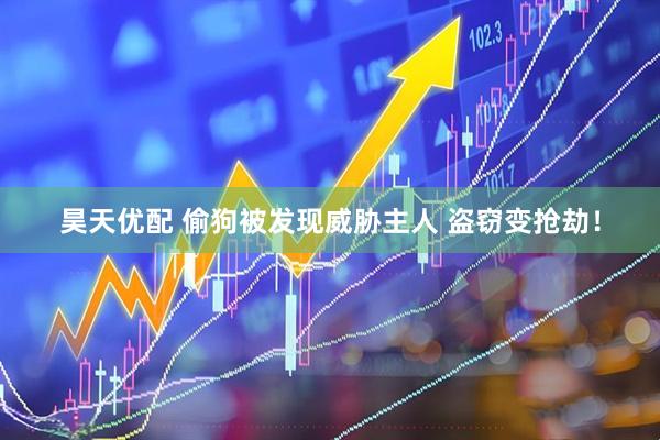 昊天优配 偷狗被发现威胁主人 盗窃变抢劫！