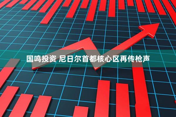 国鸣投资 尼日尔首都核心区再传枪声