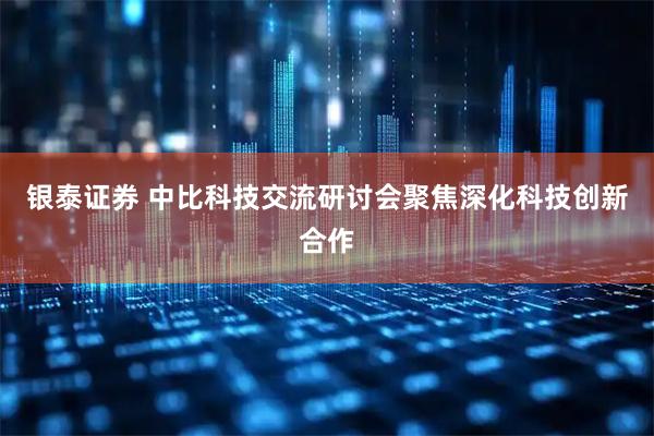 银泰证券 中比科技交流研讨会聚焦深化科技创新合作