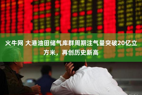 火牛网 大港油田储气库群周期注气量突破20亿立方米，再创历史新高